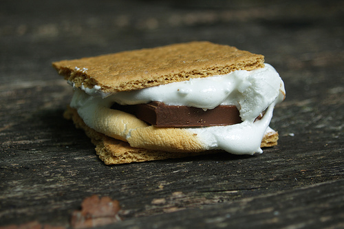 Smore by flickr user Colin Purrington (creative commons) 
