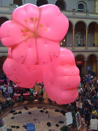 cherry-blossom-festival-2009