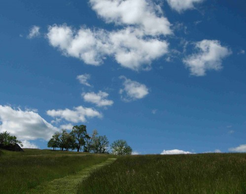 Sky Meadows