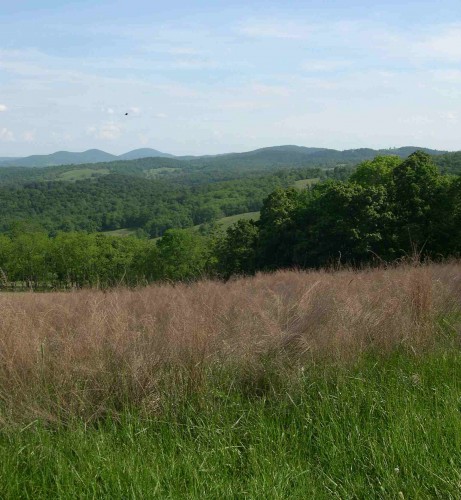 View from Piedmont Overlook trail