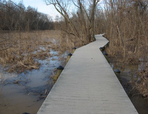 Good thing there's a boardwalk!