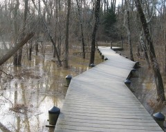 Boardwalk on Roosevelt Island