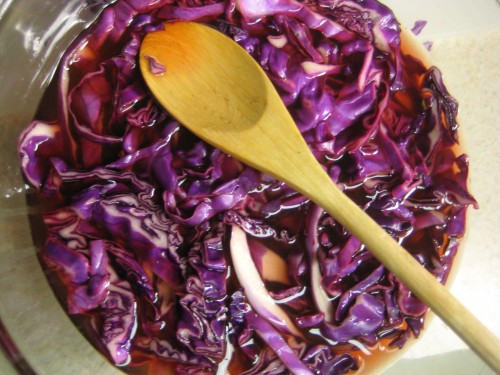 Pickling Cabbage
