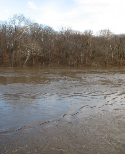 That river is rolling!