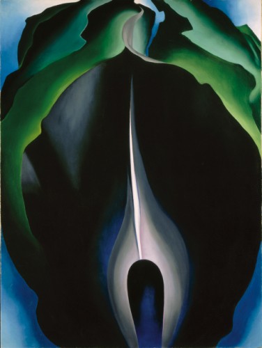 02_Jack-in-the-Pulpit No